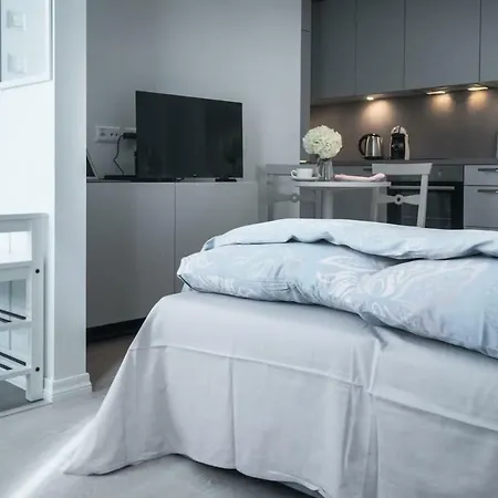 Kalamehe Modern 2 Near Center 公寓