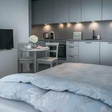 公寓 Kalamehe Modern 2 Near Center *