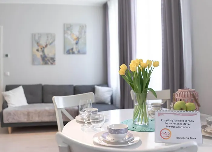 Kalamehe Modern 2 Near Center アパート パルヌ