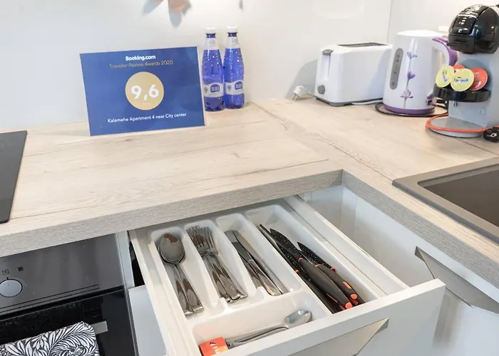 Kalamehe Modern 2 Near Center * パルヌ