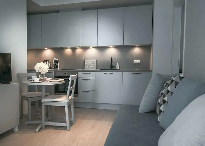 아파트 Kalamehe Modern 2 Near Center *