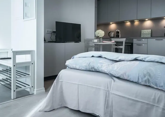 Kalamehe Modern 2 Near Center アパート