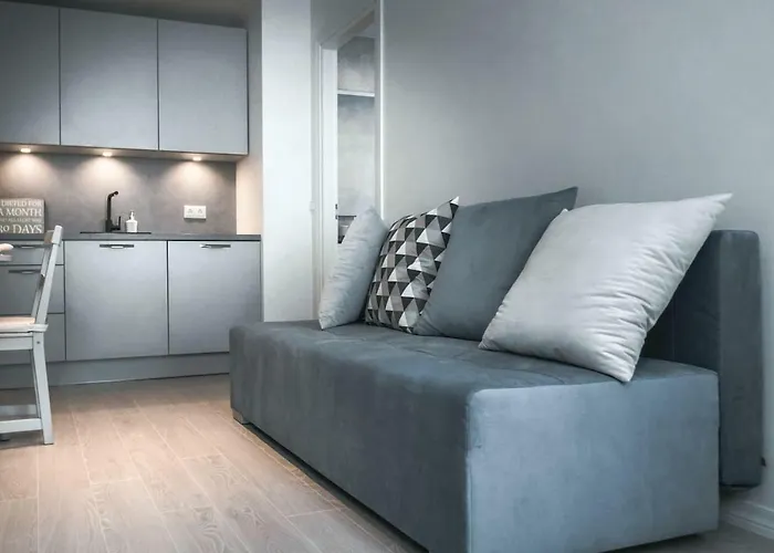 Kalamehe Modern 2 Near Center * パルヌ